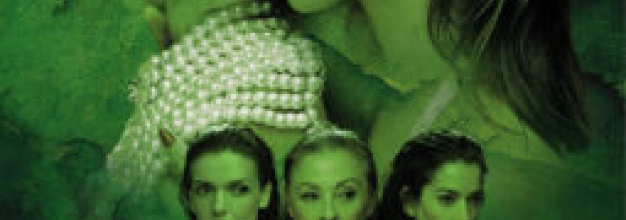 LAS AMARGAS LÁGRIMAS DE PETRA VON KANT